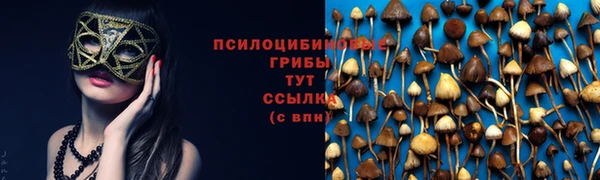 меф Пенза