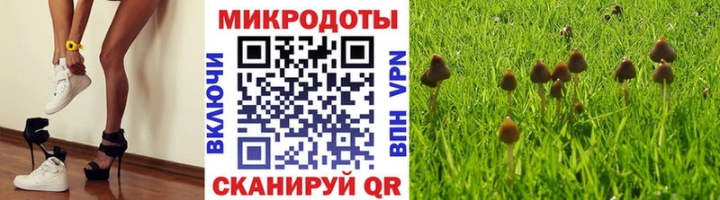 Псилоцибиновые грибы мухоморы  купить  цена  Нелидово 